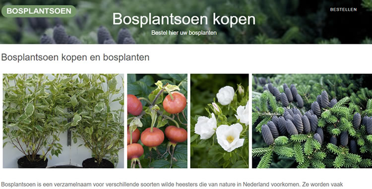 Bosplantsoen Kopen