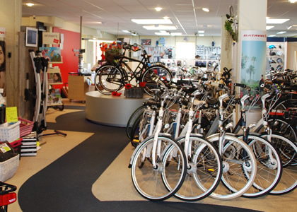 Vijverbergfietsen Westland